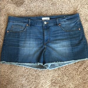 Loft Jean Shorts Sz 14